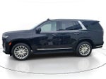 2023 Cadillac Escalade 4WD Premium Luxury