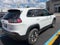 2019 Jeep Cherokee Trailhawk 4x4
